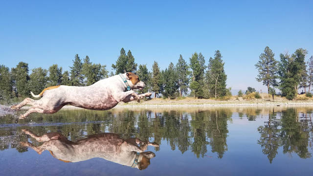 morning picdump 53 pics 15.html - 53 HD Photos | Premium Gallery 2017