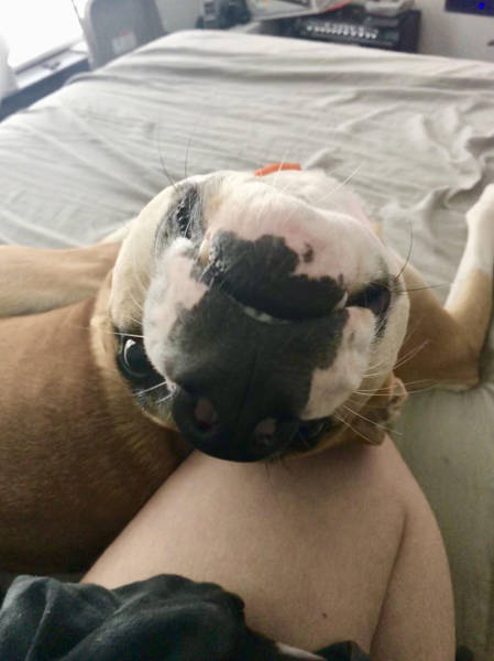 morning picdump 53 pics 15.html - 53 HD Photos | Premium Gallery 2017