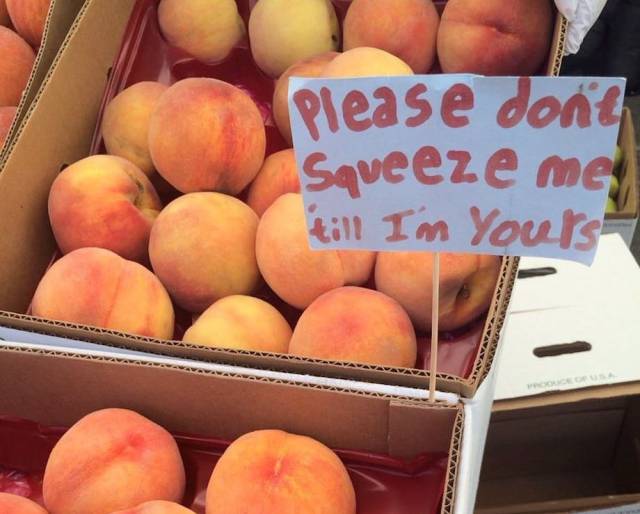 Daily Picdump [WEEKEND EDITION]