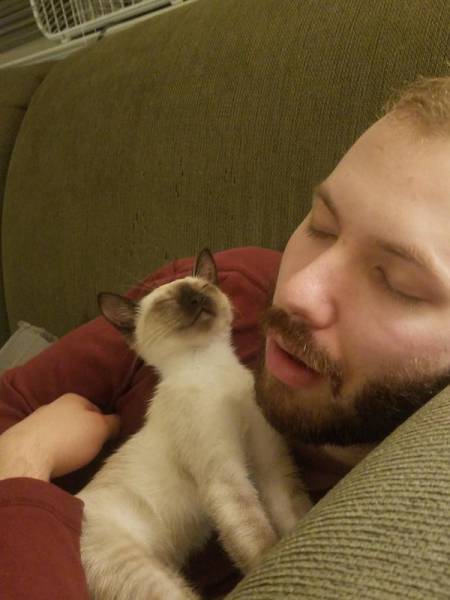 daily picdump weekend edition 54 pics 17.html - 54 HD Photos | Premium Gallery 2017