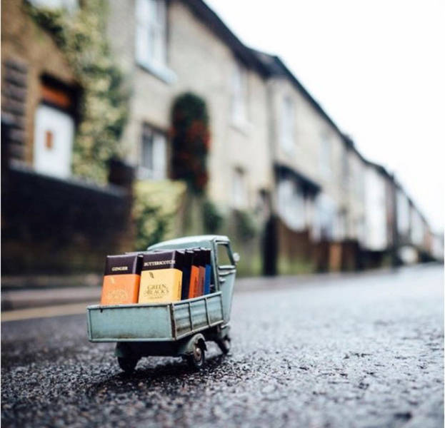 daily picdump weekend edition 54 pics 17.html - 54 HD Photos | Premium Gallery 2017