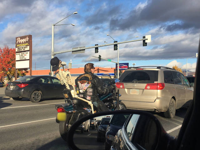 daily picdump weekend edition 54 pics 17.html - 54 HD Photos | Premium Gallery 2017