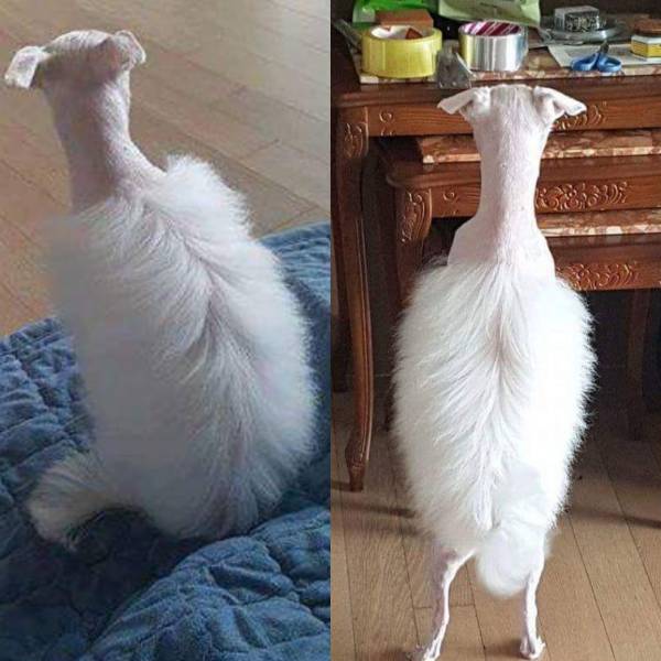 daily picdump weekend edition 54 pics 17.html - 54 HD Photos | Premium Gallery 2017