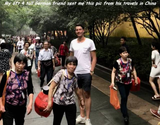 daily picdump 102 pics 35.html - 102 HD Photos | Premium Gallery 2017