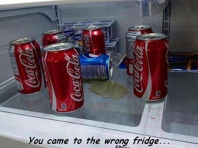 daily picdump 102 pics 35.html - 102 HD Photos | Premium Gallery 2017