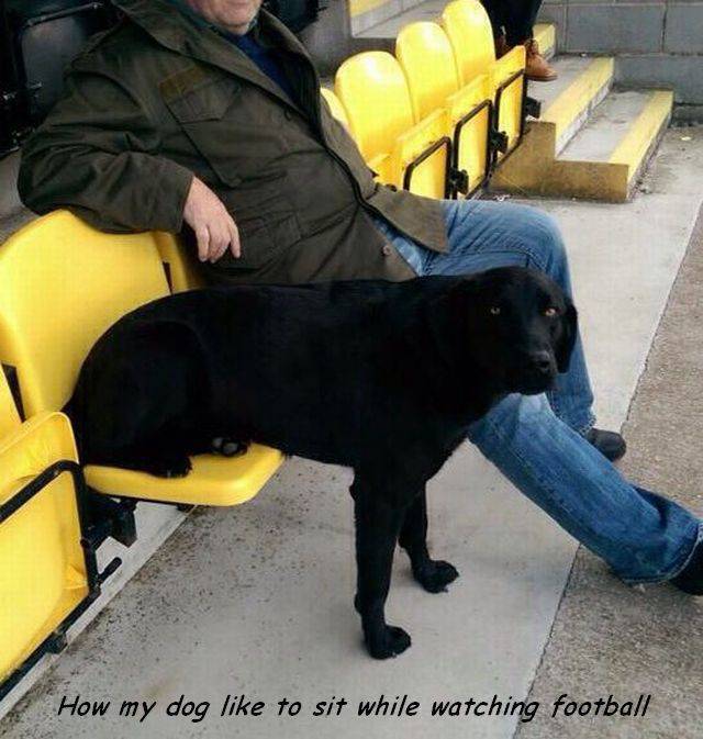 daily picdump 102 pics 35.html - 102 HD Photos | Premium Gallery 2017