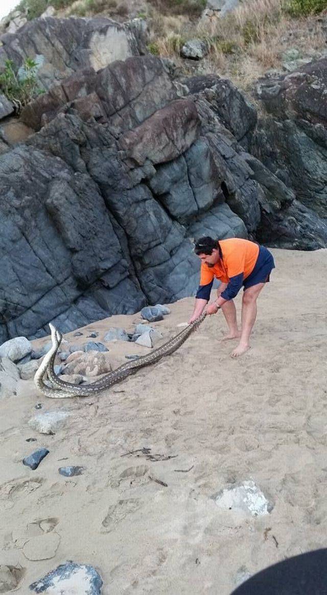 daily picdump 102 pics 35.html - 102 HD Photos | Premium Gallery 2017