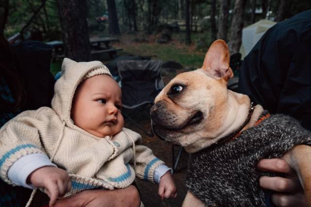 daily picdump 95 pics 9.html - 95 HD Photos | Premium Gallery 2017