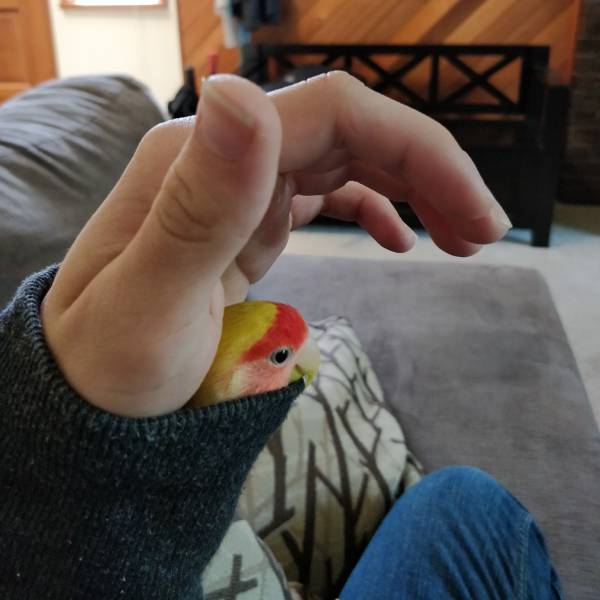 daily picdump 95 pics 9.html - 95 HD Photos | Premium Gallery 2017