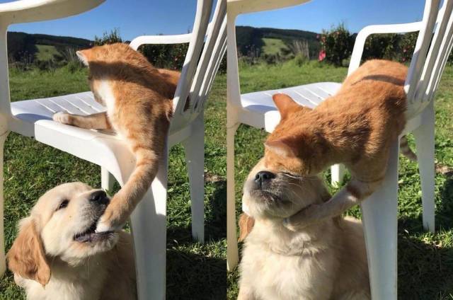 daily picdump 95 pics 9.html - 95 HD Photos | Premium Gallery 2017