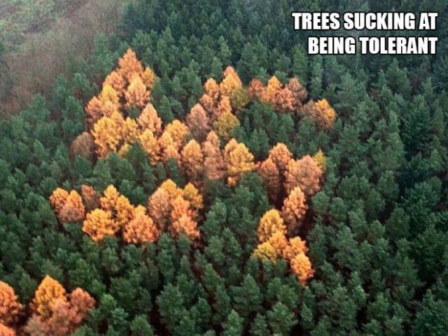 daily picdump 95 pics 9.html - 95 HD Photos | Premium Gallery 2017