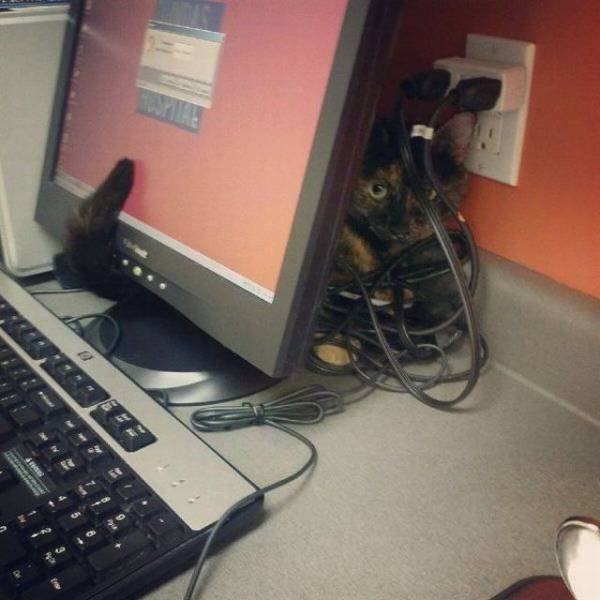 daily picdump 95 pics 9.html - 95 HD Photos | Premium Gallery 2017