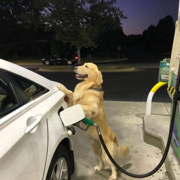 daily picdump 95 pics 9.html - 95 HD Photos | Premium Gallery 2017