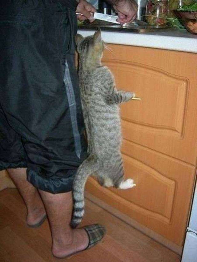 daily picdump 95 pics 9.html - 95 HD Photos | Premium Gallery 2017