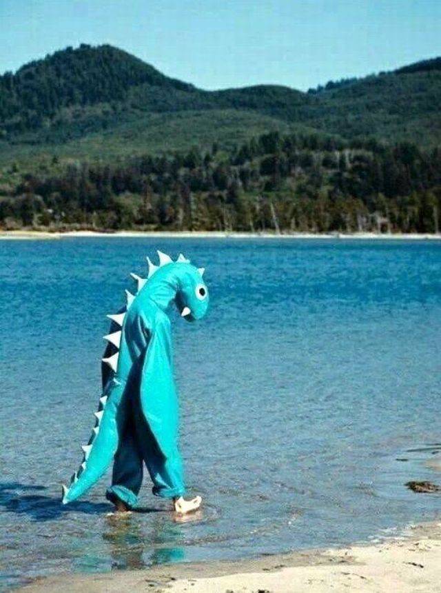 daily picdump 95 pics 9.html - 95 HD Photos | Premium Gallery 2017