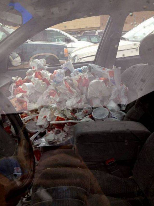 daily picdump 95 pics 9.html - 95 HD Photos | Premium Gallery 2017