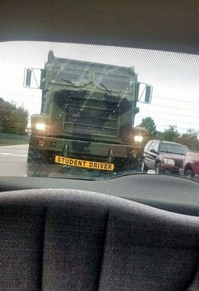 daily picdump 95 pics 9.html - 95 HD Photos | Premium Gallery 2017