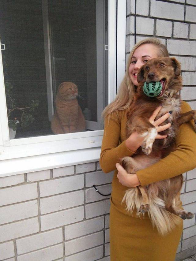 daily picdump 95 pics 9.html - 95 HD Photos | Premium Gallery 2017