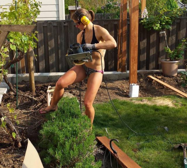 daily picdump 97 pics 39.html - 97 HD Photos | Premium Gallery 2017