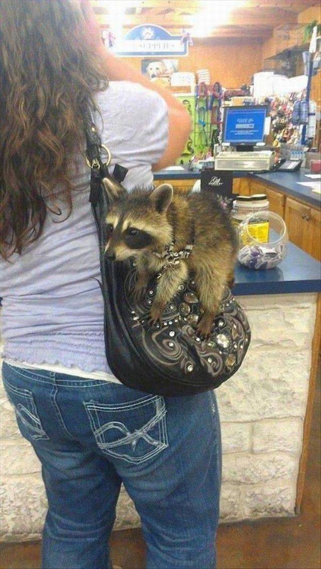 daily picdump 97 pics 39.html - 97 HD Photos | Premium Gallery 2017