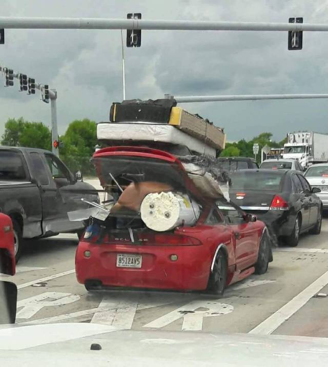 daily picdump 97 pics 39.html - 97 HD Photos | Premium Gallery 2017