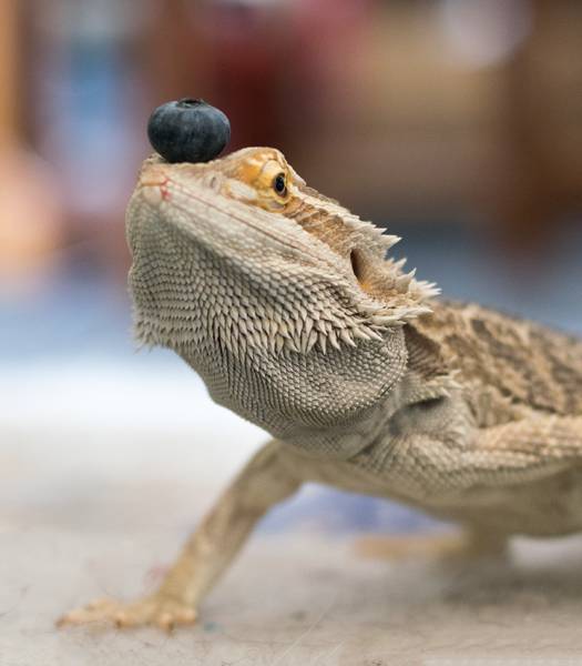 morning picdump 50 pics 15.html - 50 HD Photos | Premium Gallery 2017