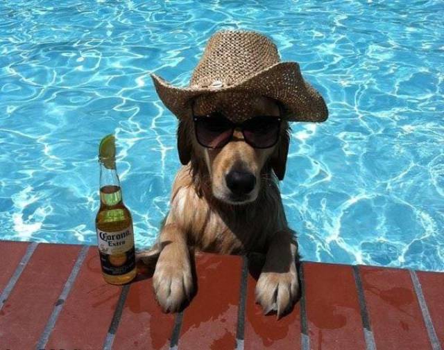 morning picdump 50 pics 15.html - 50 HD Photos | Premium Gallery 2017