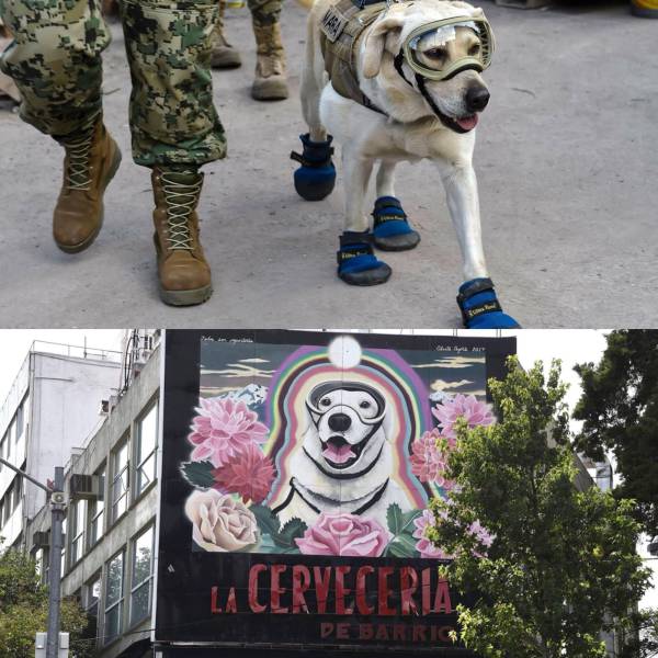 daily picdump 92 pics 14.html - 92 HD Photos | Premium Gallery 2017