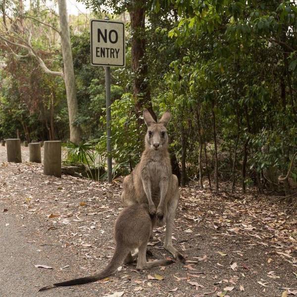 daily picdump 92 pics 14.html - 92 HD Photos | Premium Gallery 2017