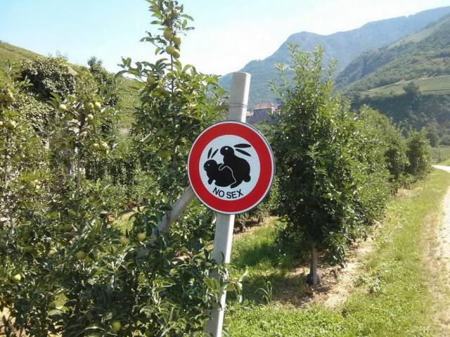 daily picdump 92 pics 14.html - 92 HD Photos | Premium Gallery 2017