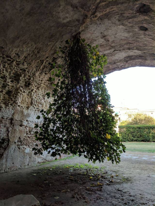 daily picdump 92 pics 14.html - 92 HD Photos | Premium Gallery 2017