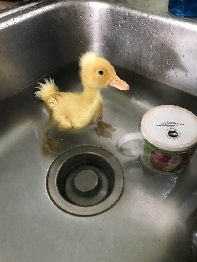 daily picdump 92 pics 14.html - 92 HD Photos | Premium Gallery 2017