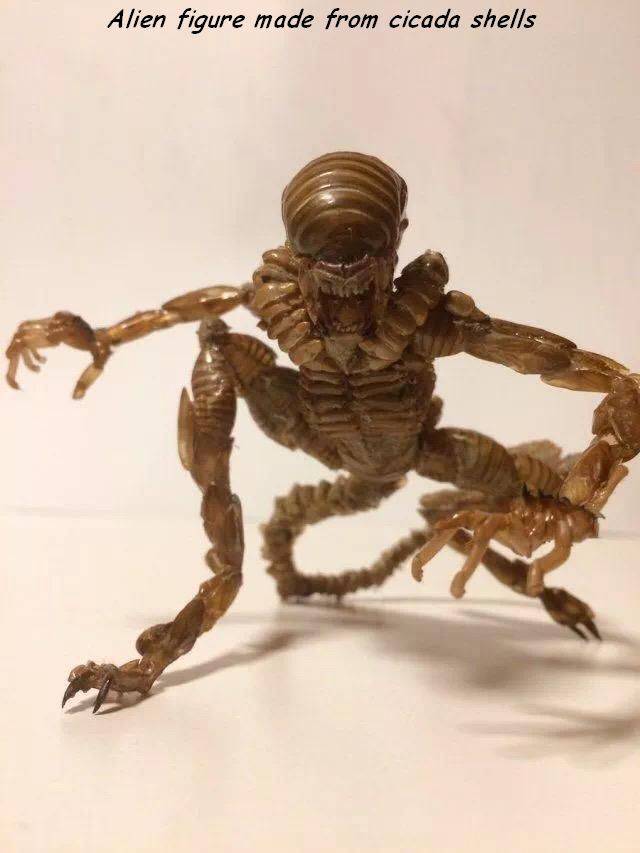 daily picdump 92 pics 14.html - 92 HD Photos | Premium Gallery 2017