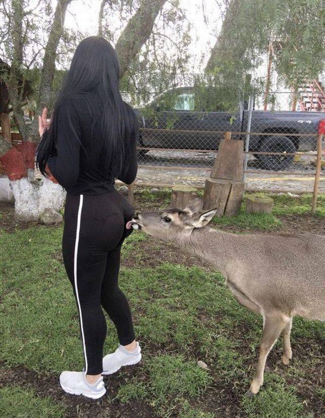 grownup corner 60 pics 3 gifs 29.html - 60 HD GIF | Premium Gallery 2017