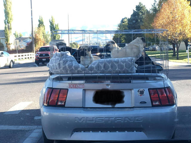 morning picdump 50 pics 2.html - 50 HD Photos | Premium Gallery 2017