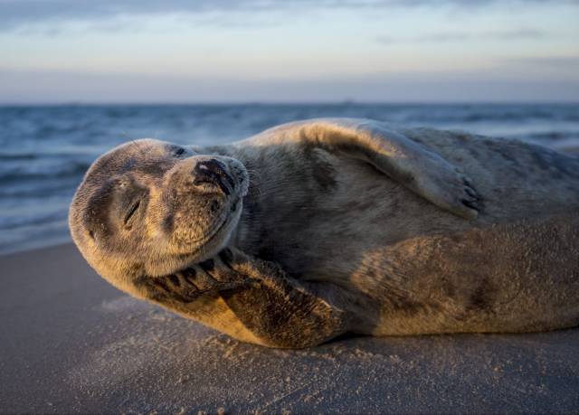 morning picdump 50 pics 2.html - 50 HD Photos | Premium Gallery 2017