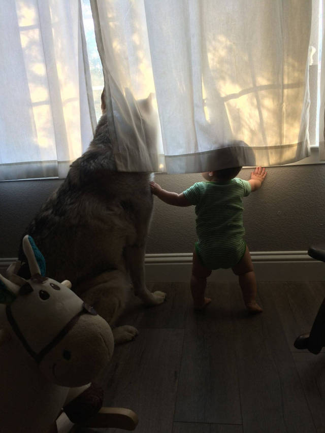 morning picdump 50 pics 2.html - 50 HD Photos | Premium Gallery 2017