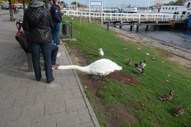 Daily Picdump [WEEKEND EDITION]