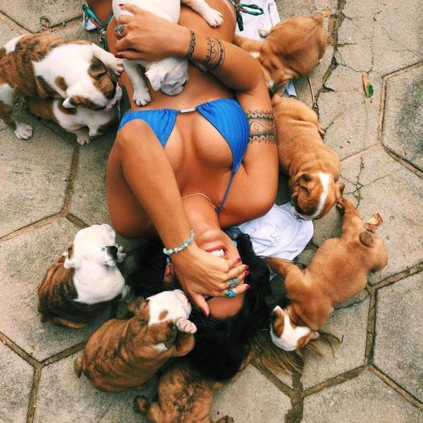 daily picdump weekend edition 68 pics 11.html - 68 HD Photos | Premium Gallery 2017