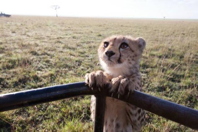 daily picdump weekend edition 68 pics 11.html - 68 HD Photos | Premium Gallery 2017