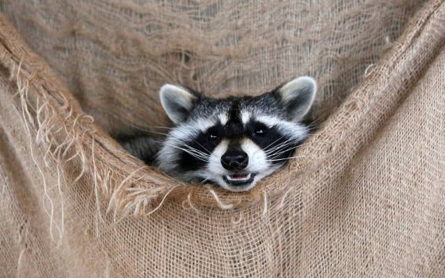 daily picdump weekend edition 68 pics 11.html - 68 HD Photos | Premium Gallery 2017