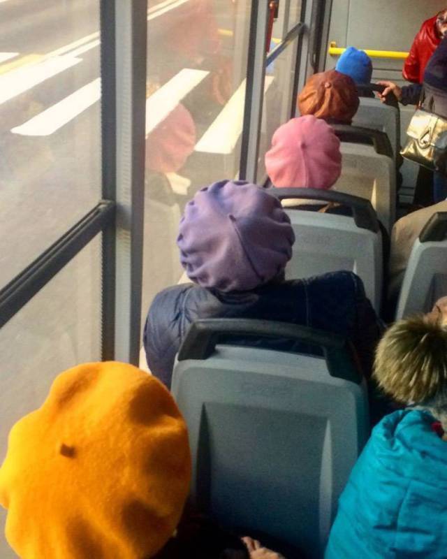 daily picdump weekend edition 68 pics 11.html - 68 HD Photos | Premium Gallery 2017