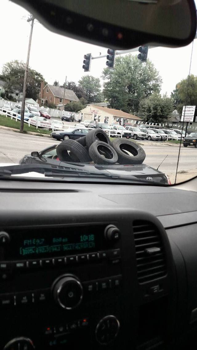 daily picdump weekend edition 68 pics 11.html - 68 HD Photos | Premium Gallery 2017