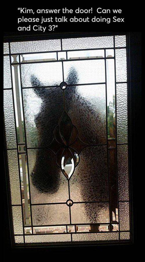 daily picdump weekend edition 68 pics 11.html - 68 HD Photos | Premium Gallery 2017