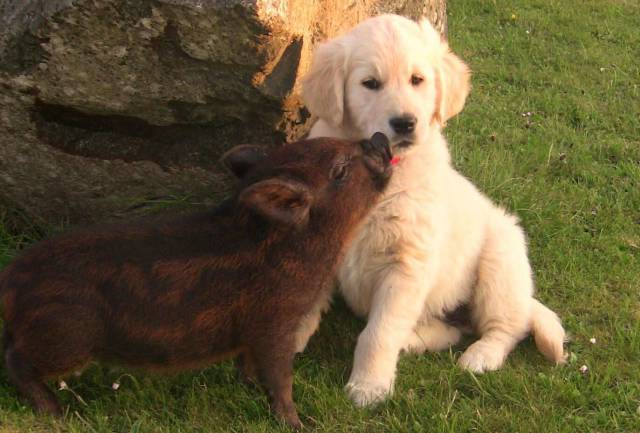 daily picdump 104 pics 2.html - 104 HD Photos | Premium Gallery 2017