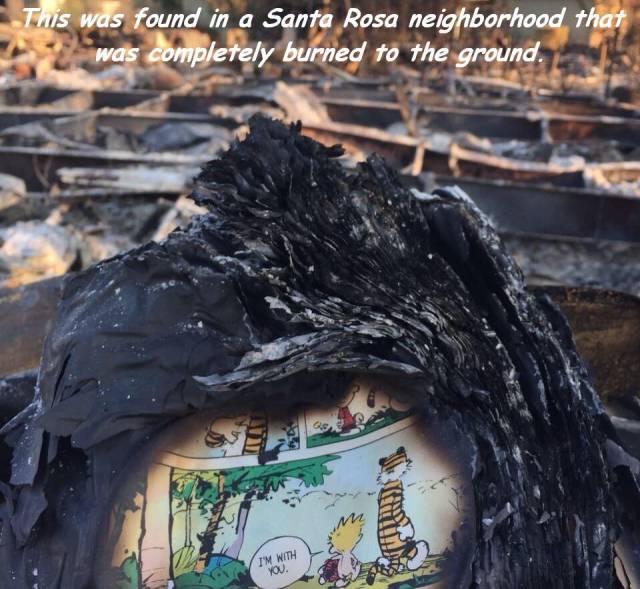 daily picdump 104 pics 2.html - 104 HD Photos | Premium Gallery 2017