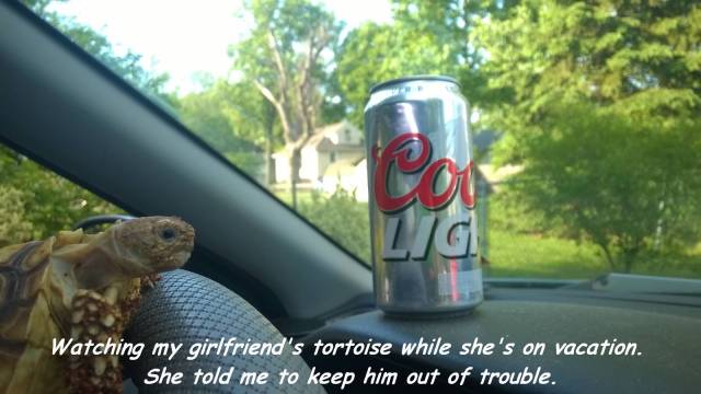 daily picdump 104 pics 2.html - 104 HD Photos | Premium Gallery 2017