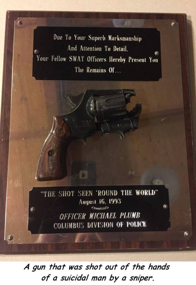 daily picdump 104 pics 2.html - 104 HD Photos | Premium Gallery 2017