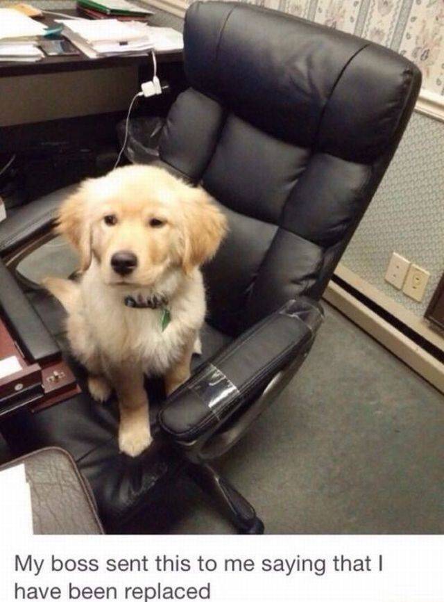 daily picdump 104 pics 2.html - 104 HD Photos | Premium Gallery 2017