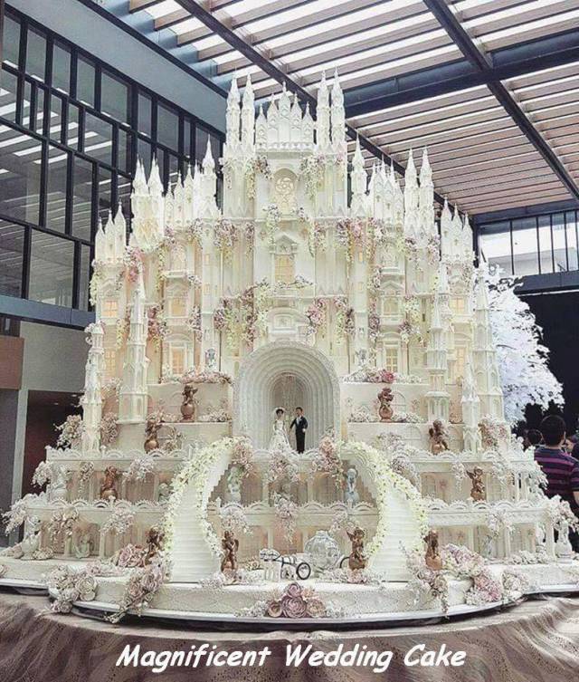 daily picdump 104 pics 2.html - 104 HD Photos | Premium Gallery 2017